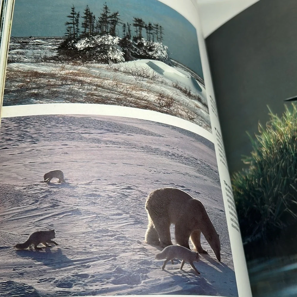The Natural History of Canada by R.D. Lawrence Vintage Hardcover 1988 Edition - Picture 16 of 16